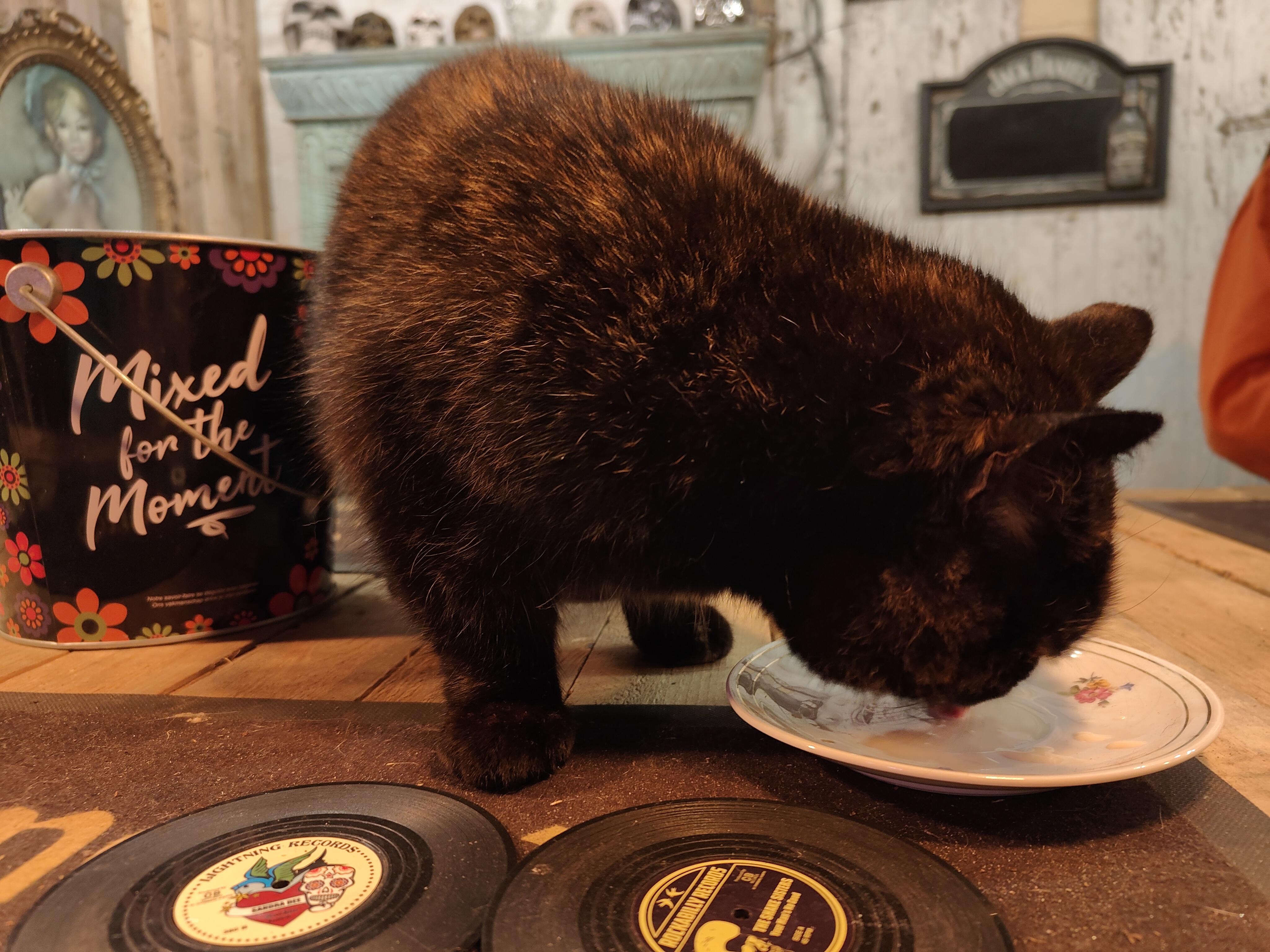 Caramelleke at The Black Flamingo