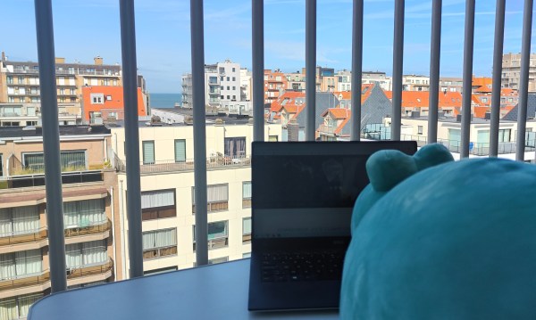 Joey Clyde the crocodile, working on DownSideUp